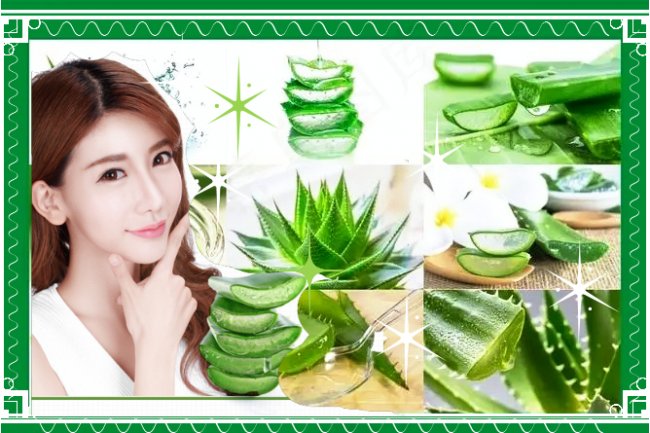 Aloe Vera Face Masks for Glowing Skin; Understanding the Science Behind Its Skincare Magic