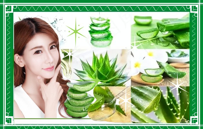 Aloe Vera Face Masks for Glowing Skin; Understanding the Science Behind Its Skincare Magic